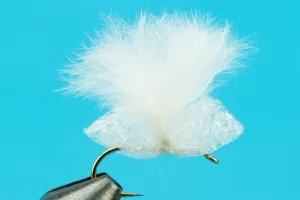 Cottonwood Seed