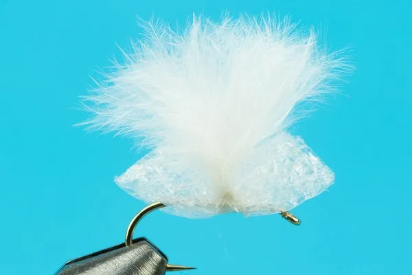 Cottonwood Seed