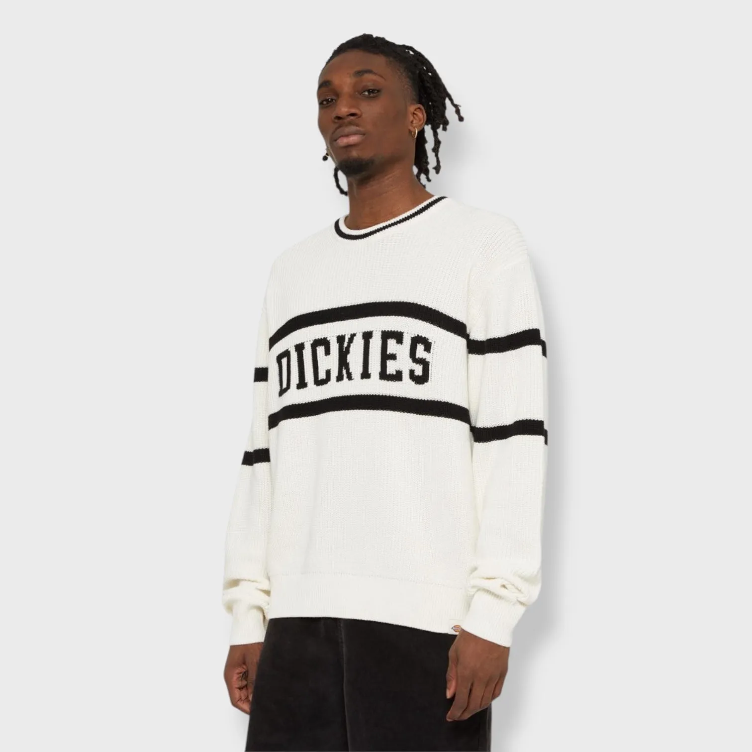 Dickies Melvern Jumper cloud