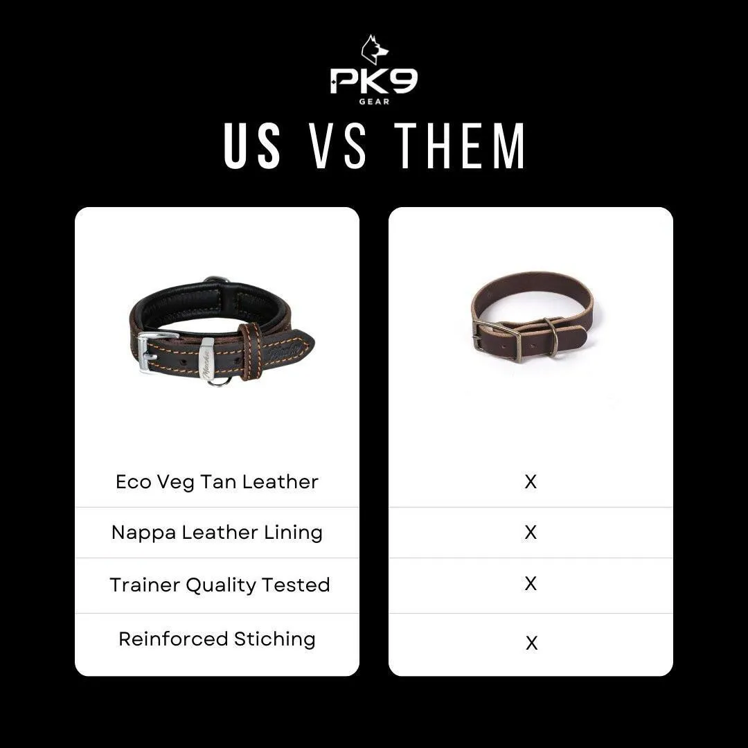Exclusive Limited Edition Leather Series Bundle - Premium Handcrafted Dog Accessories - Save 20%!