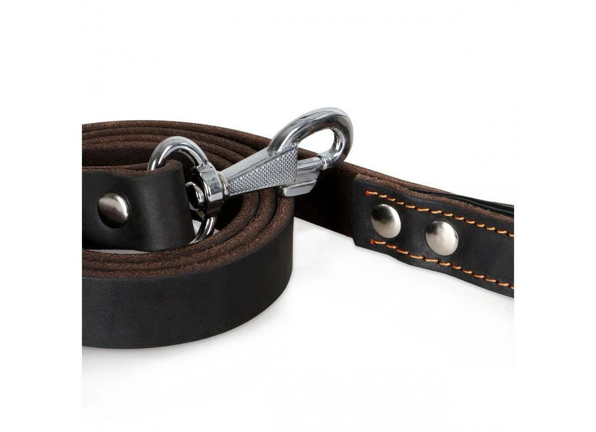 Exclusive Limited Edition Leather Series Bundle - Premium Handcrafted Dog Accessories - Save 20%!