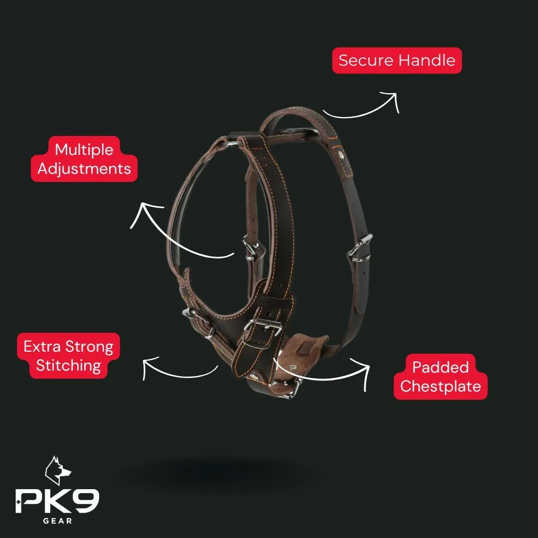 Exclusive Limited Edition Leather Series Bundle - Premium Handcrafted Dog Accessories - Save 20%!