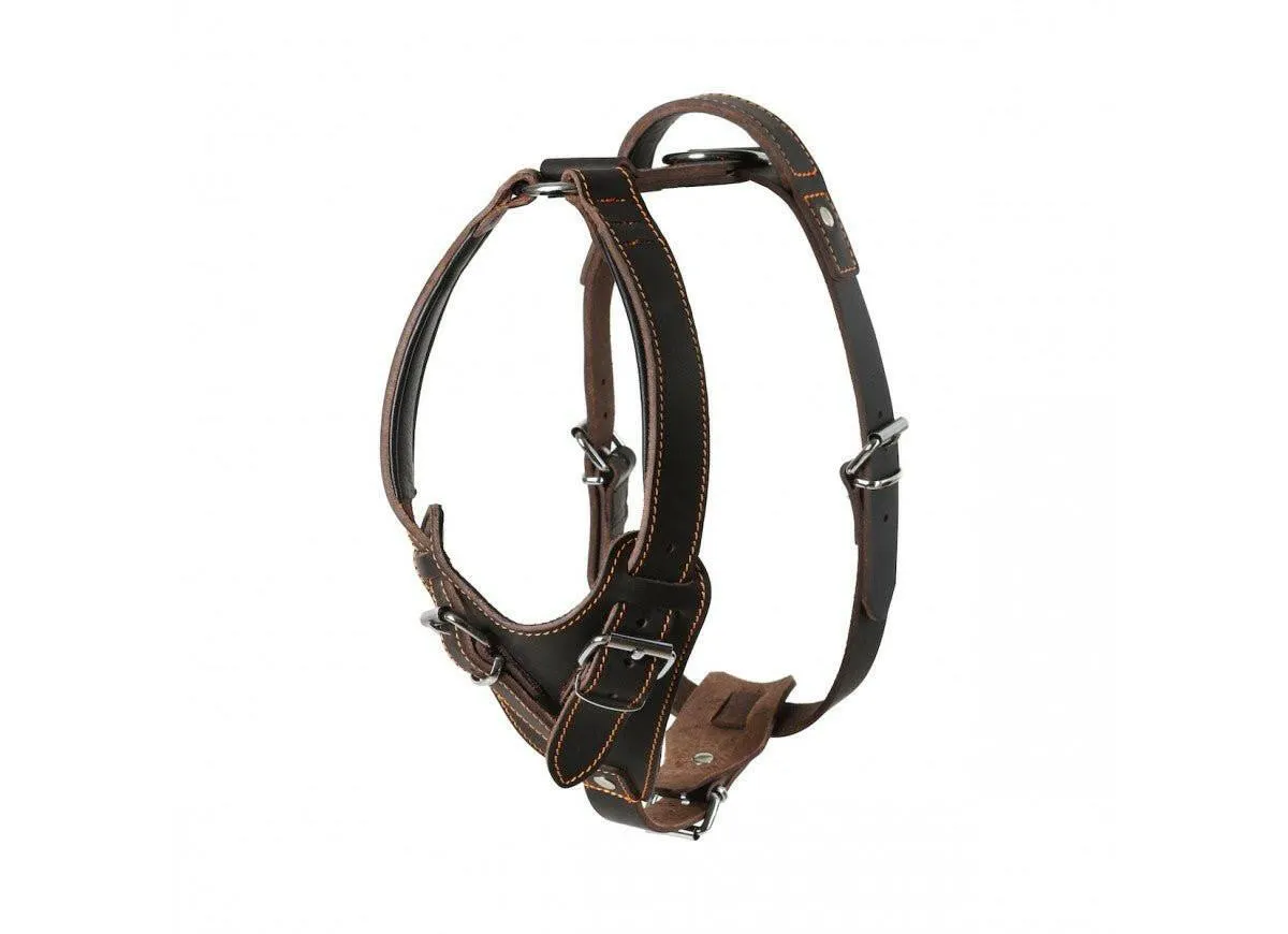 Exclusive Limited Edition Leather Series Bundle - Premium Handcrafted Dog Accessories - Save 20%!