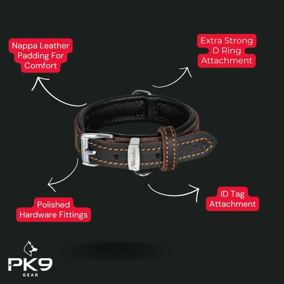 Exclusive Limited Edition Leather Series Bundle - Premium Handcrafted Dog Accessories - Save 20%!
