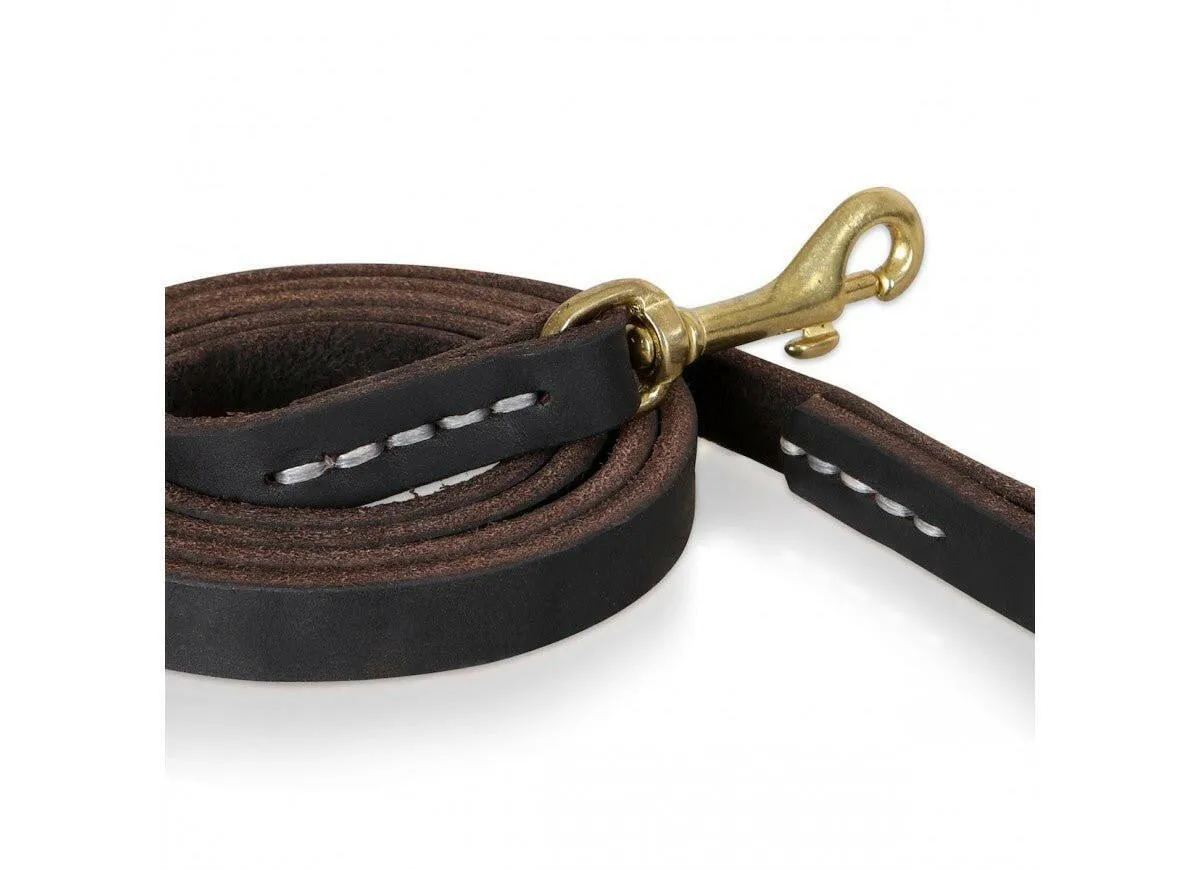 Exclusive Limited Edition Leather Series Bundle - Premium Handcrafted Dog Accessories - Save 20%!