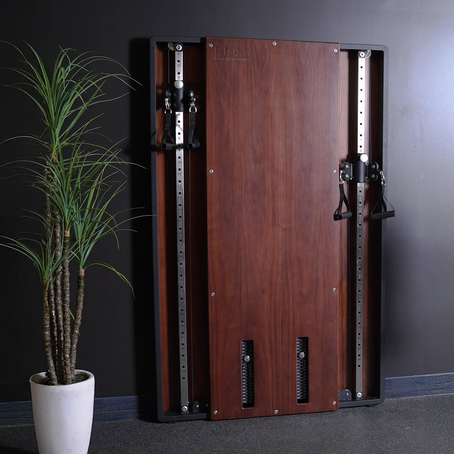 Flow 6 Walnut - Wall Mounted Functional Trainer